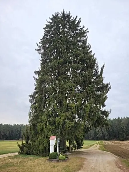 Marterl 04