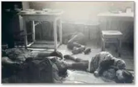 pl05